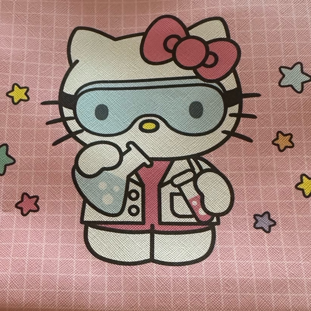 Hello Kitty Pencil Case NWT - Picture 2 of 3